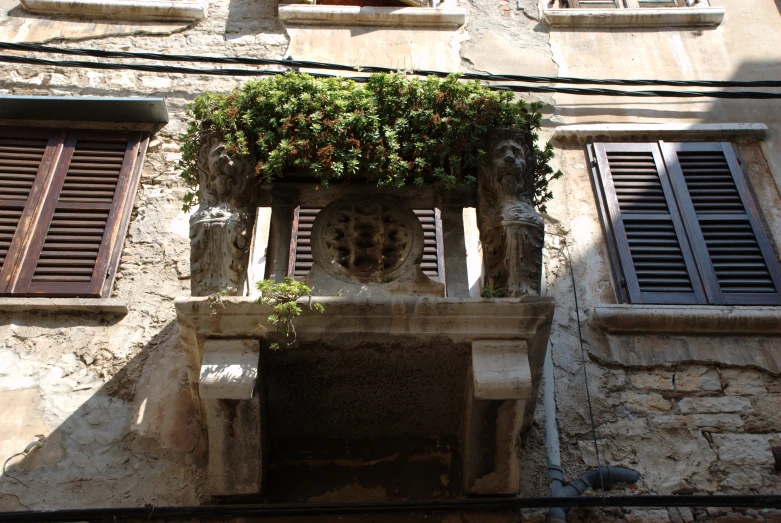 some bushes and flowers growing on the windows of buildings