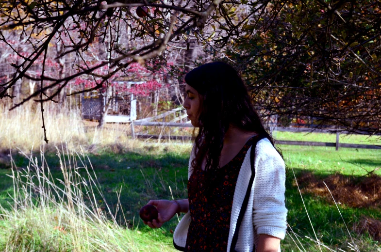 a person standing by a field under a tree