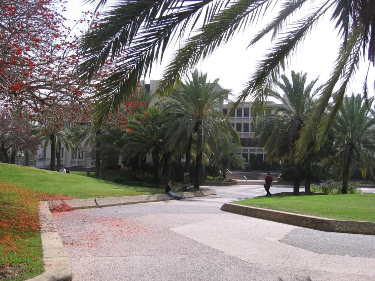 a street with benches, trees and some houses