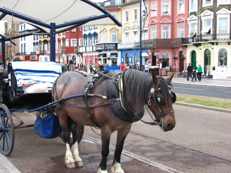 a horse drawn carriage with a couple of passengers in it