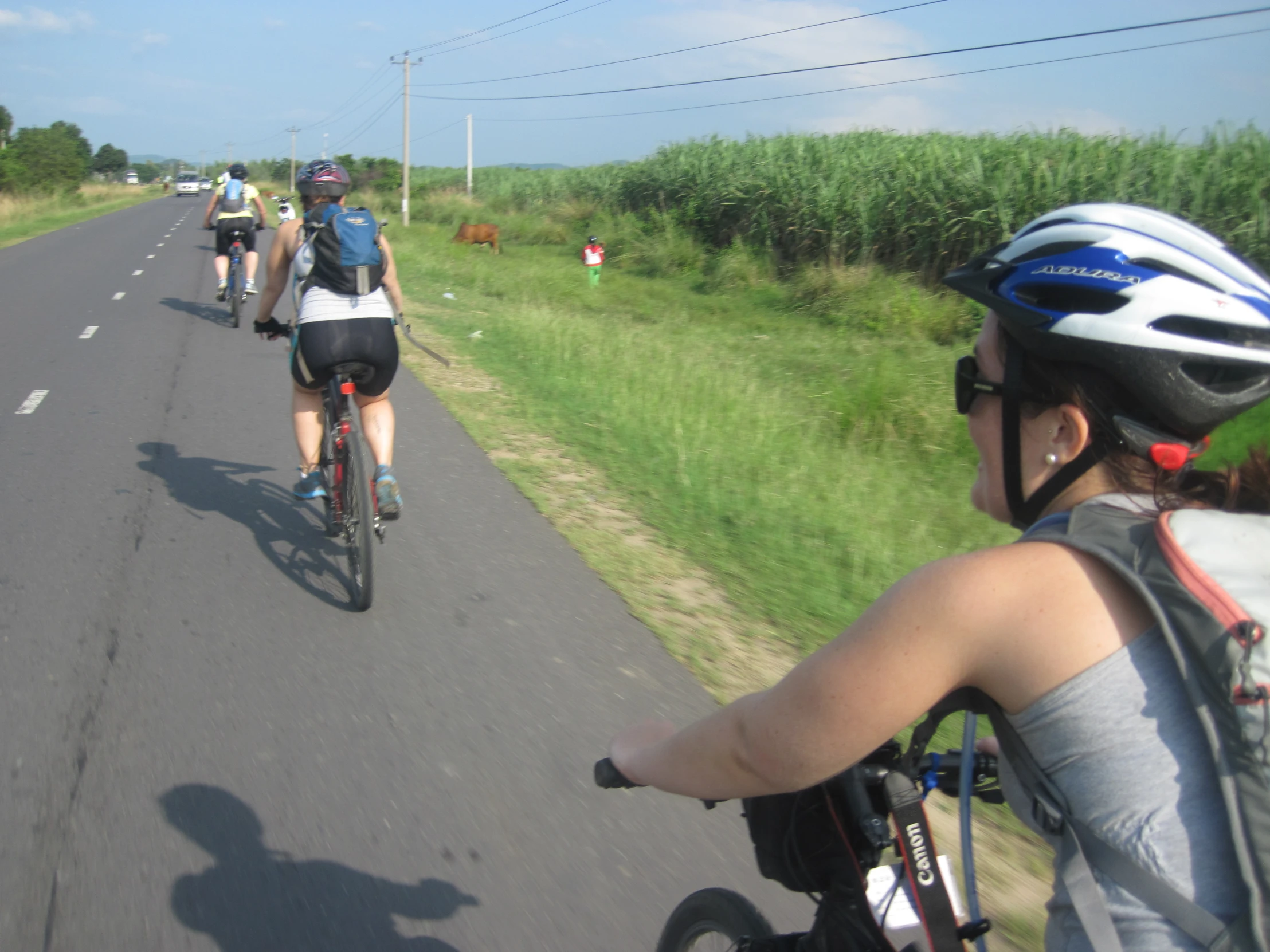 people riding bicycles on the road with their backs turned