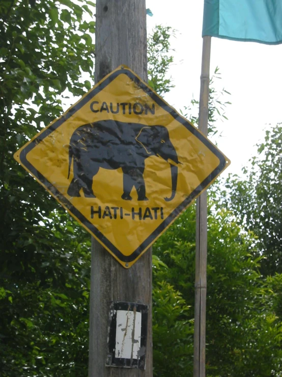 a yellow and black caution sign on a wooden board