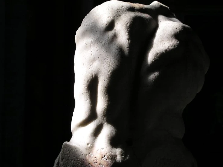 a back view of a statue with the light coming through it