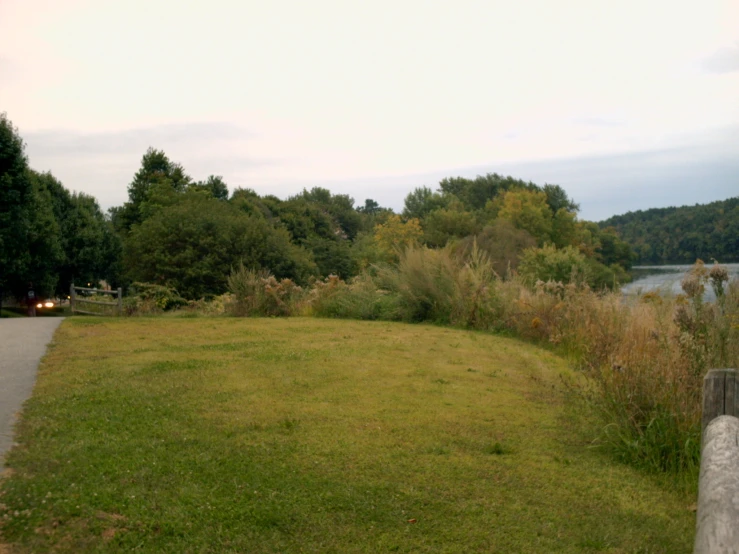 a grassy field next to a road and trees