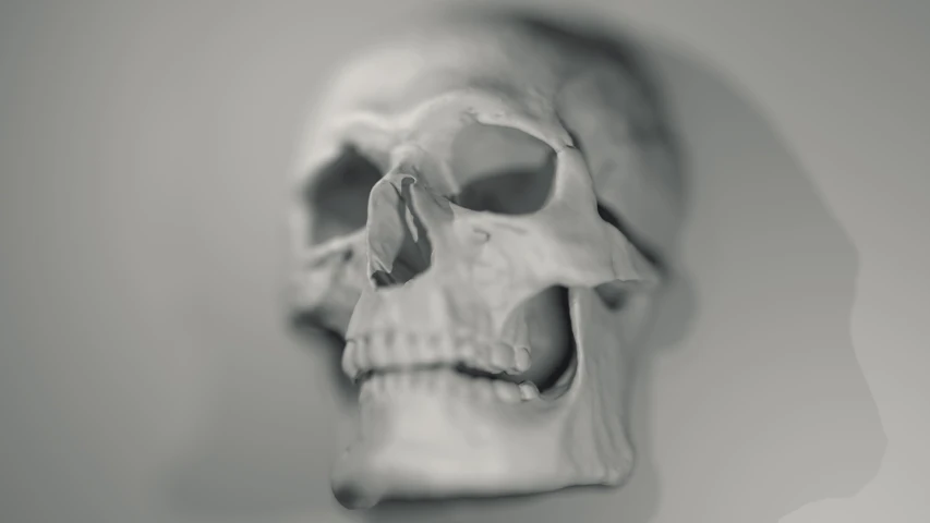 an image of a single human skull with only its upper part missing