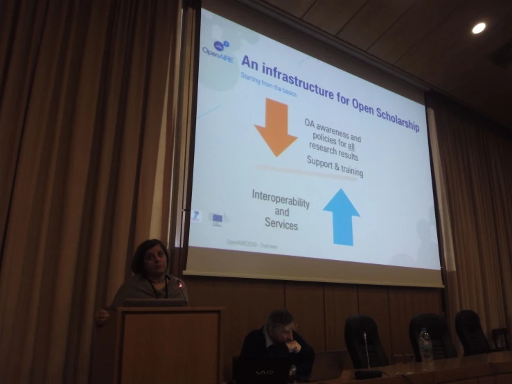 a woman gives a lecture at a conference hall