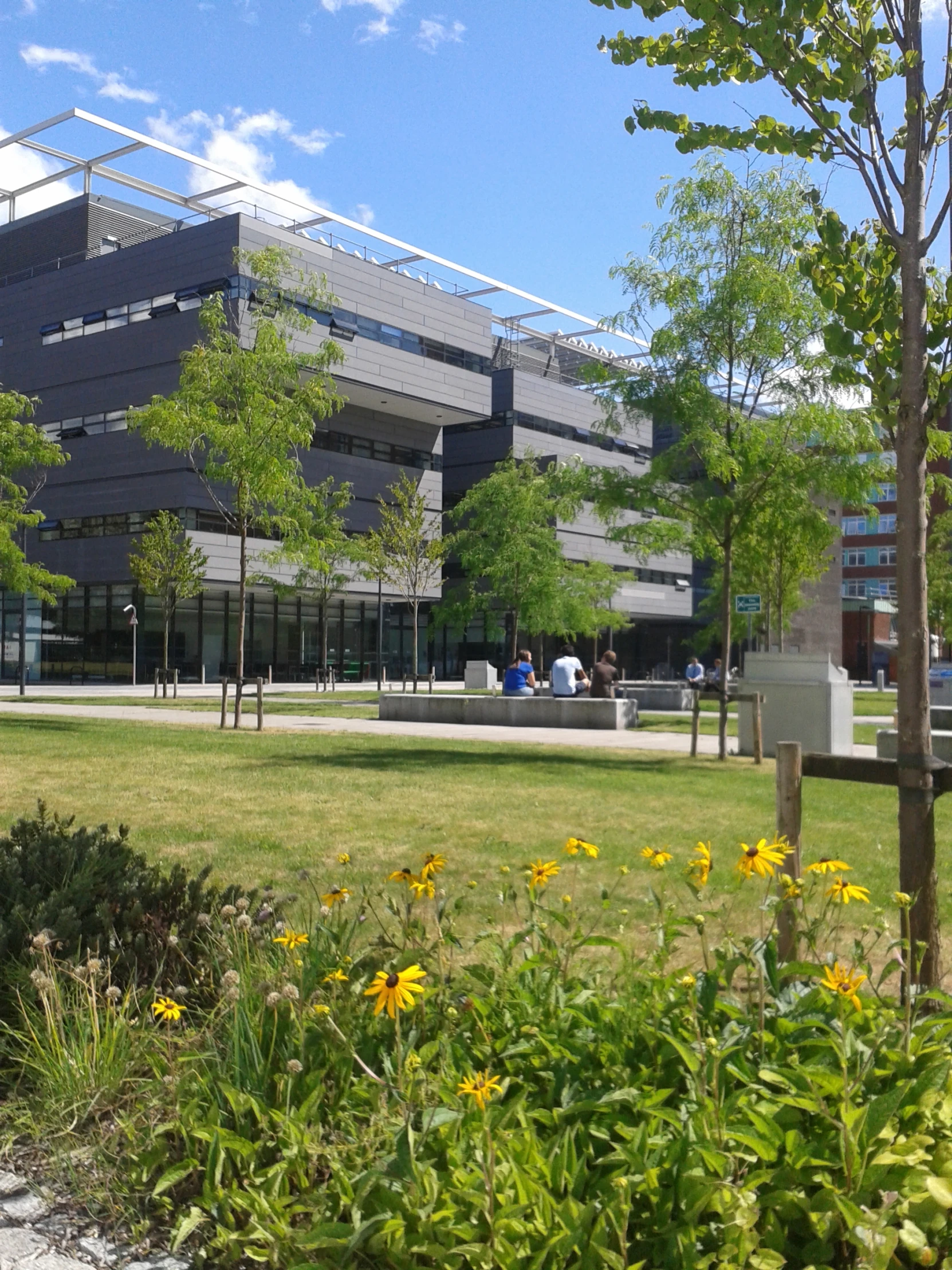 a building sits in the middle of a grassy field