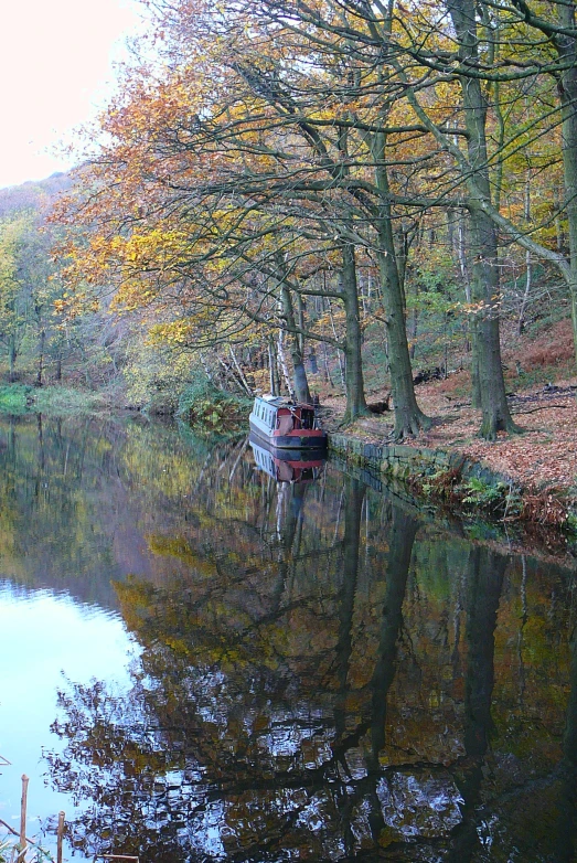 the reflection of a boat in the water under a tree