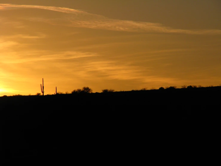 a person standing on top of a hill flying a kite