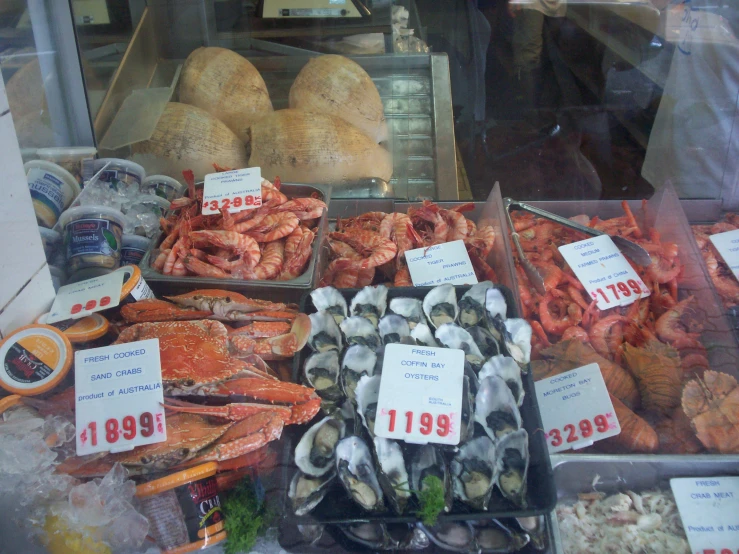 a display case in a store filled with seafood