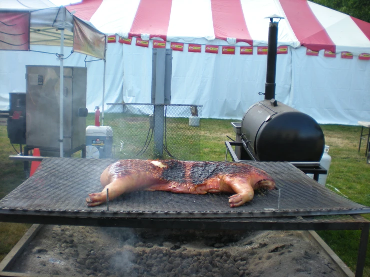 a barbecue grill with two dead pigs cooking on it