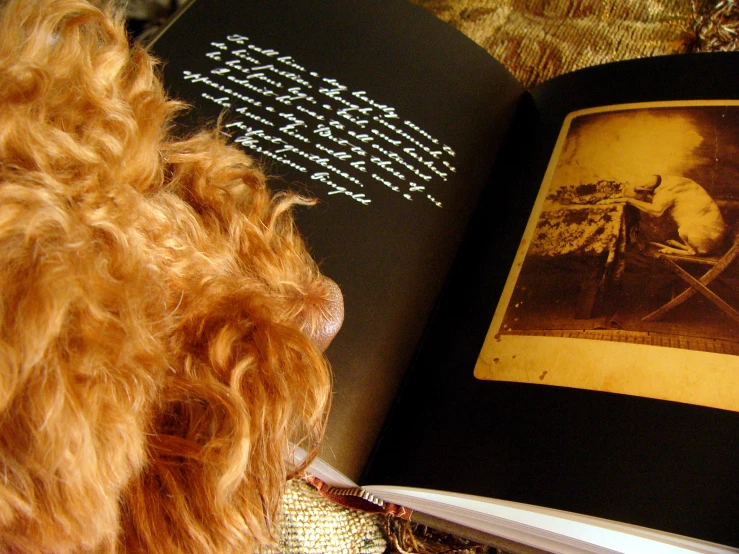an opened book with writing on it and a dog head