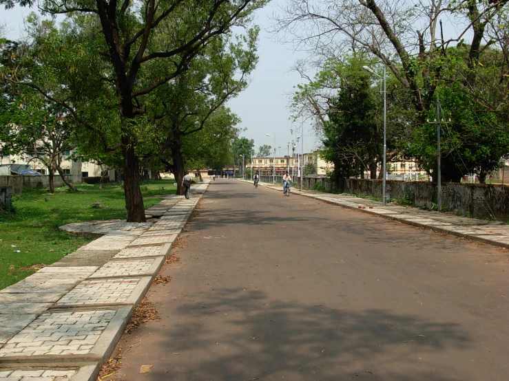 a view of a street in front of trees and a person with a dog