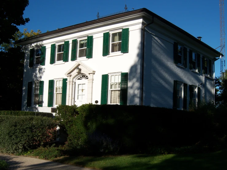 the house has green shutters and green windows