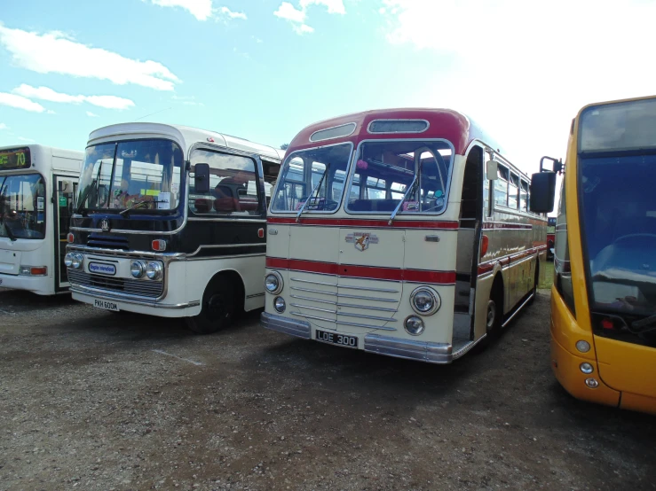 several buses parked in a lot on a sunny day