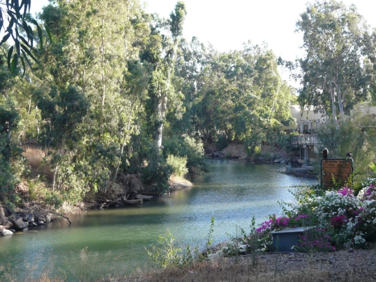 a view of a river with the trees and flowers