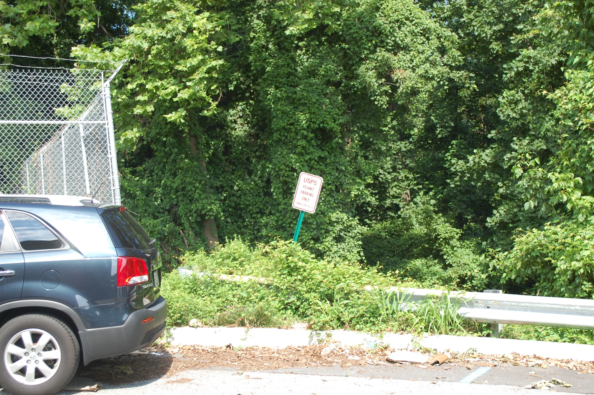 a stop sign in the middle of some bush