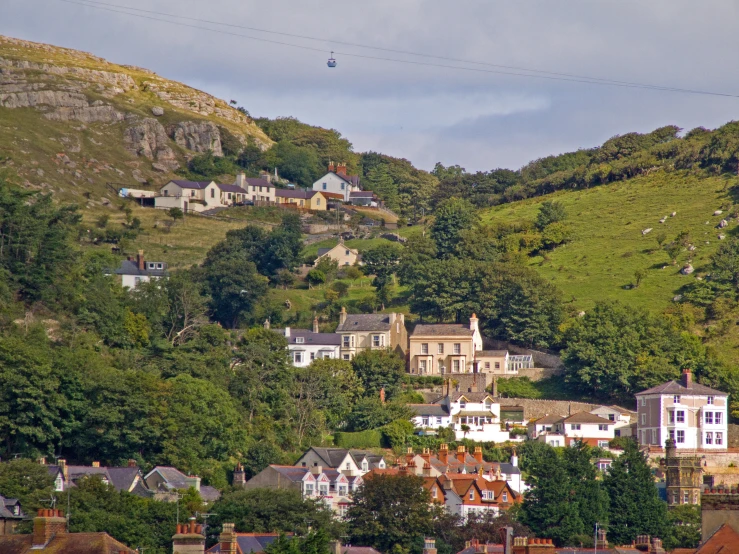 a hillside covered in houses near a forest