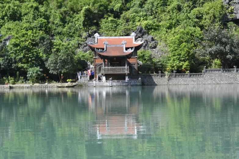 a large body of water next to a lush green forest