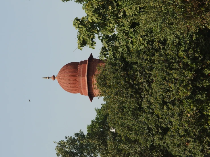 view of dome from behind trees to sky