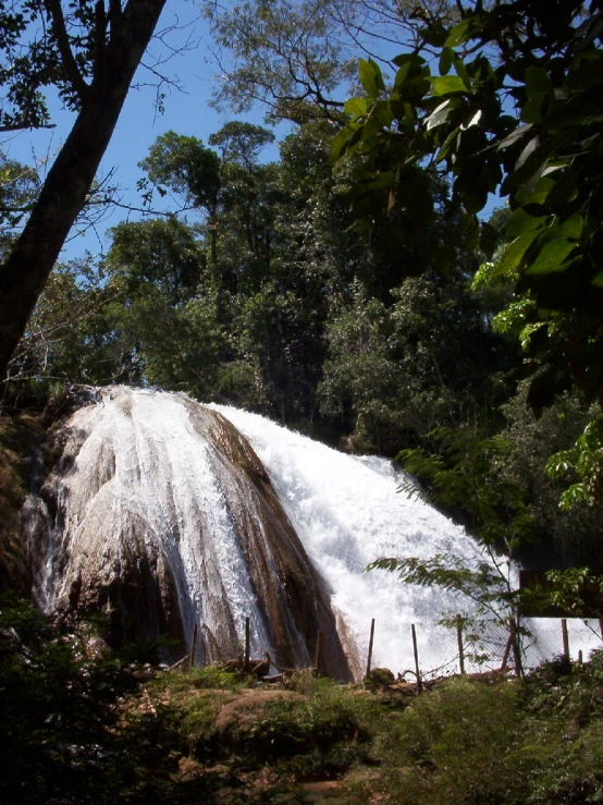 a huge waterfall in a tropical jungle with trees