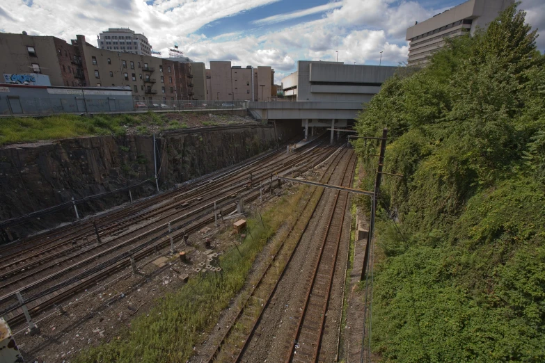 there are train tracks and trees along this waterway