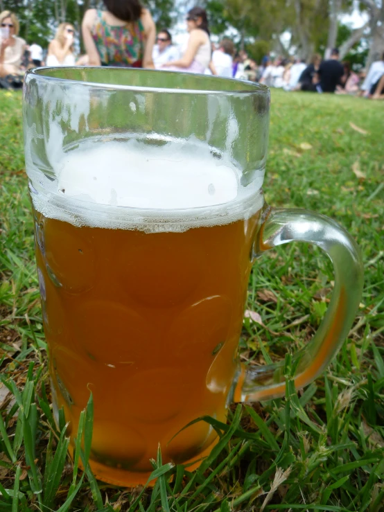 a large mug of beer on a lush green field