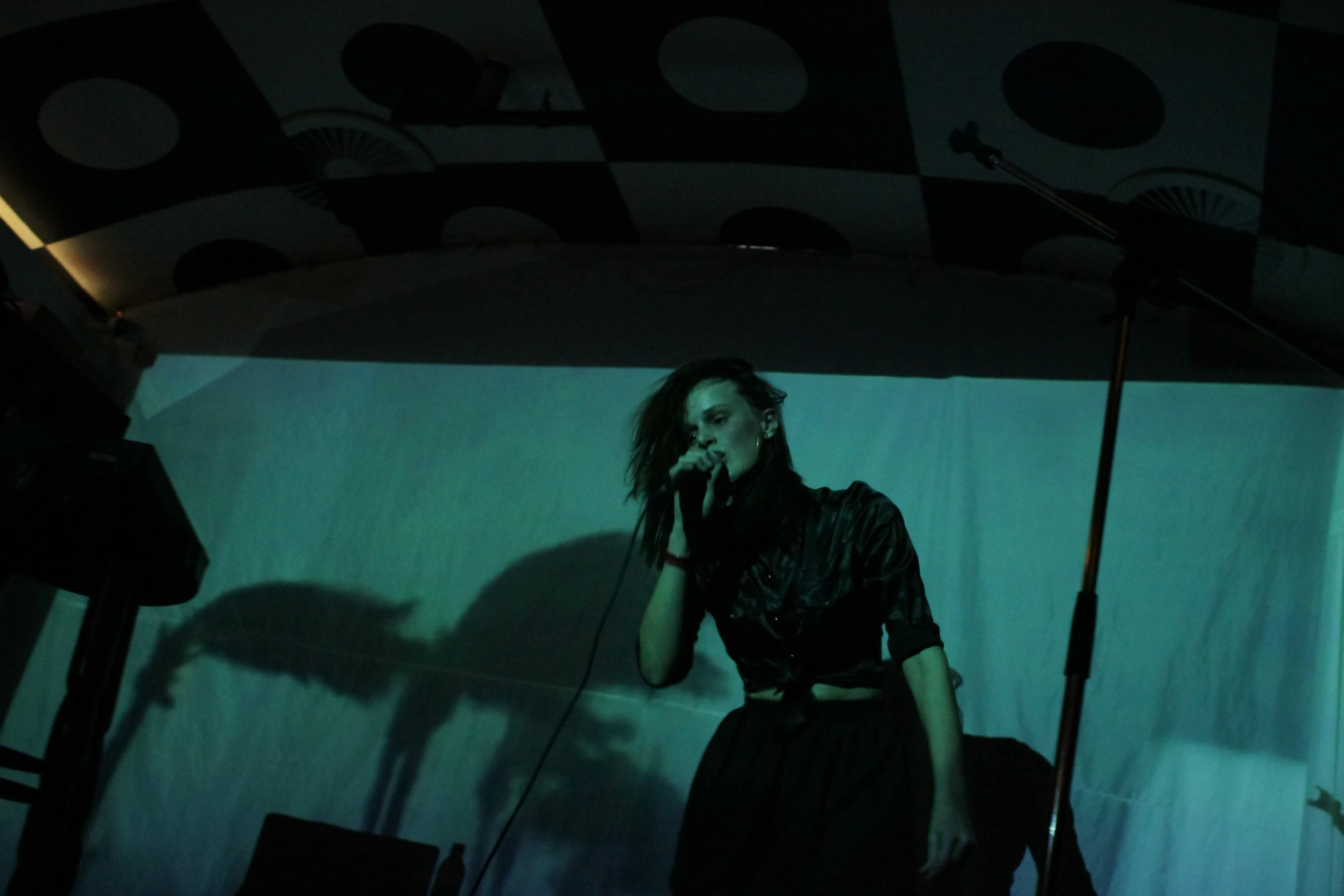 a woman in black singing at a concert