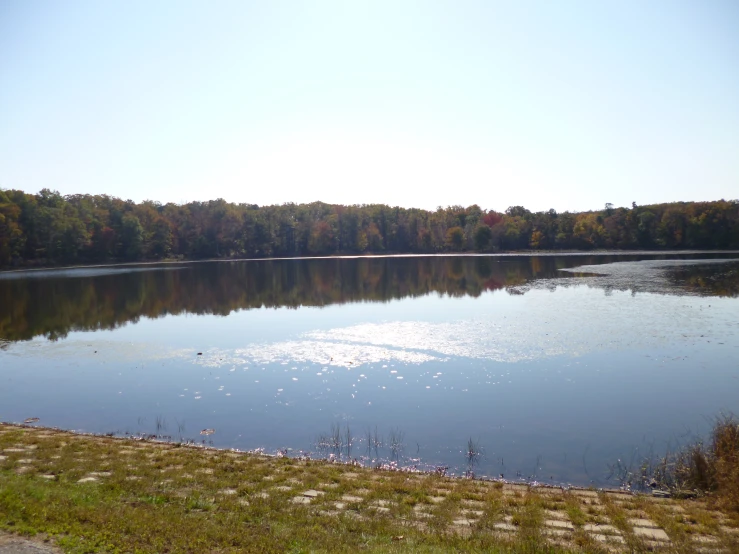 a large body of water surrounded by some trees