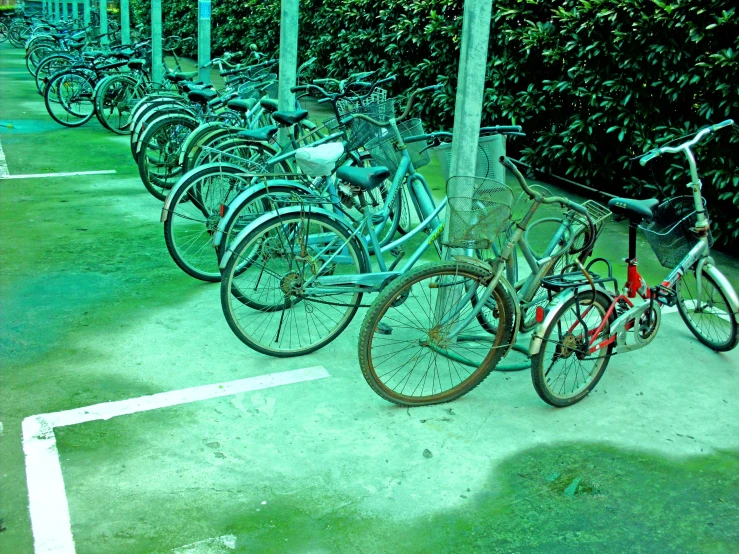 bikes are lined up in rows by each other