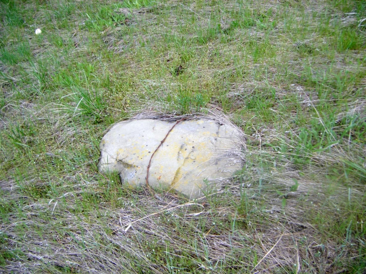 a large rock in the middle of grass