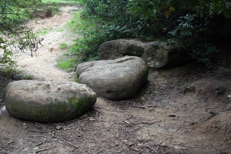 a path running between three rocks surrounded by vegetation