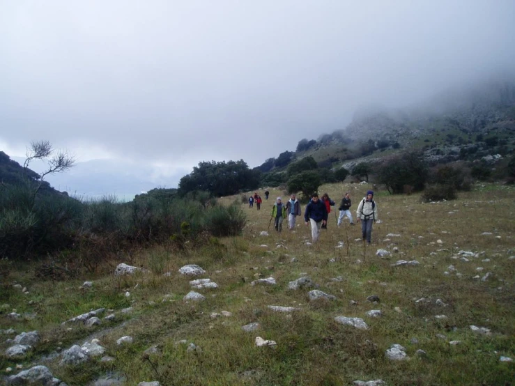 a group of people walking on a field