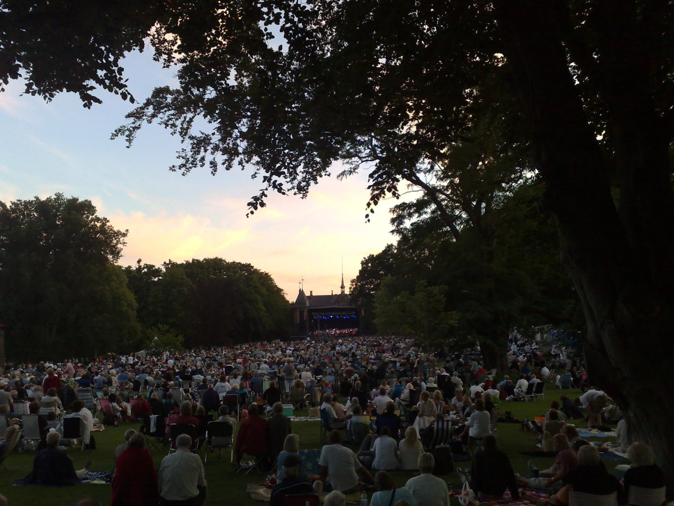 a large group of people are in the grass in a park at dusk