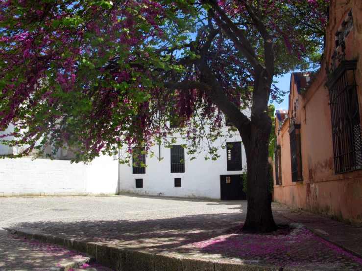 an old building with a tree and flowers in front