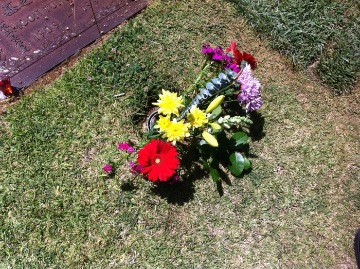 some daisies, sunflowers and other flowers are on the grass