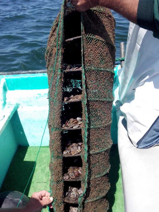 the bottom side of the boat is covered by netting