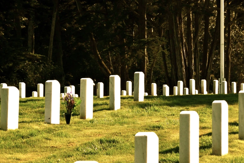 rows of tombstones in a cemetery with trees