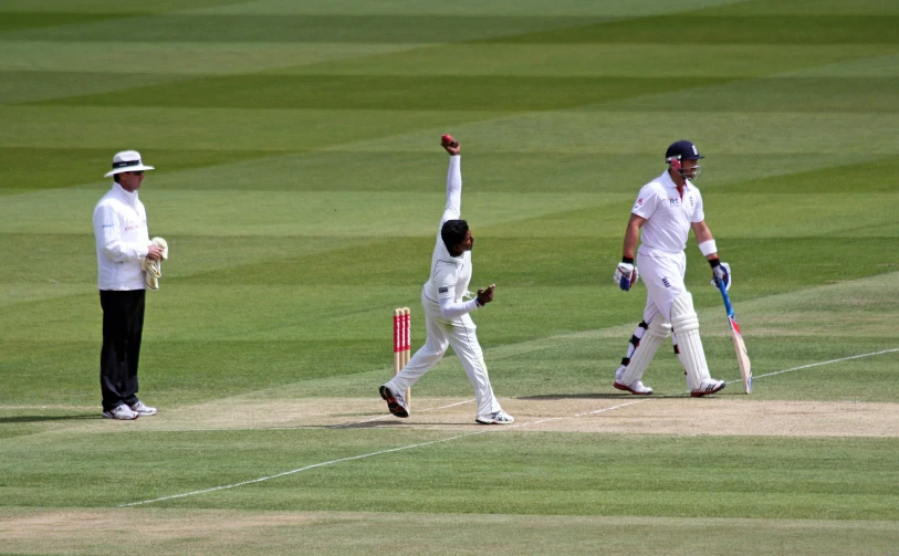 cricket players holding their arms up on a field