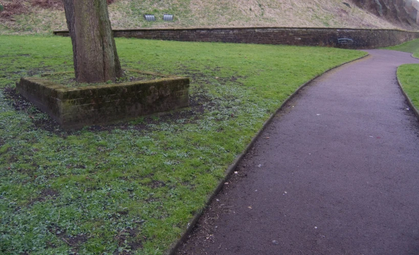 the path is next to a very big tree