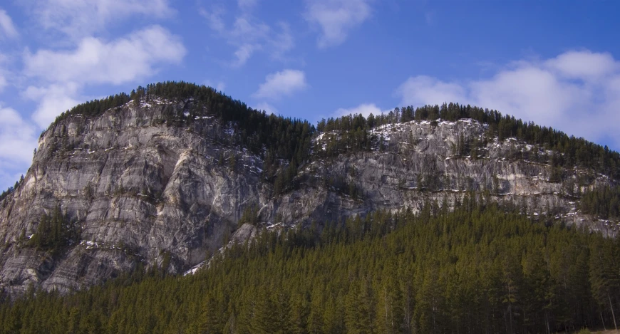 a view of a forested mountain in the far distance