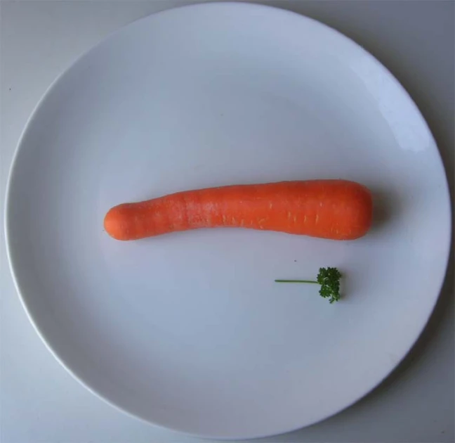 a piece of carrot sitting on top of a white plate