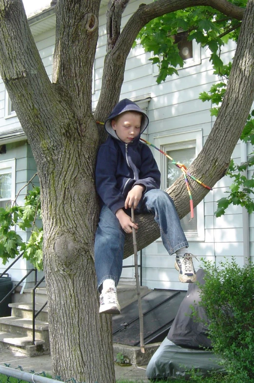 a small child sitting on top of a tree