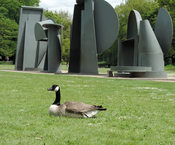 a grey goose sitting in the grass near a couple of sculptures