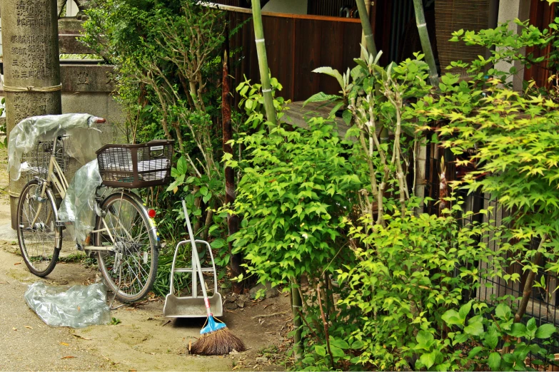 a bicycle leaning on a tree by some bushes