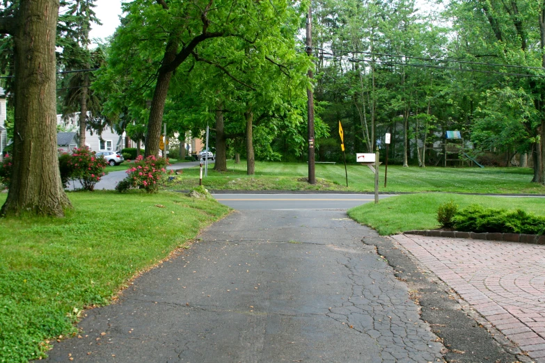 a narrow paved road in a residential neighborhood