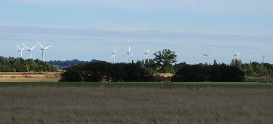 a large field with lots of windmills on top of it