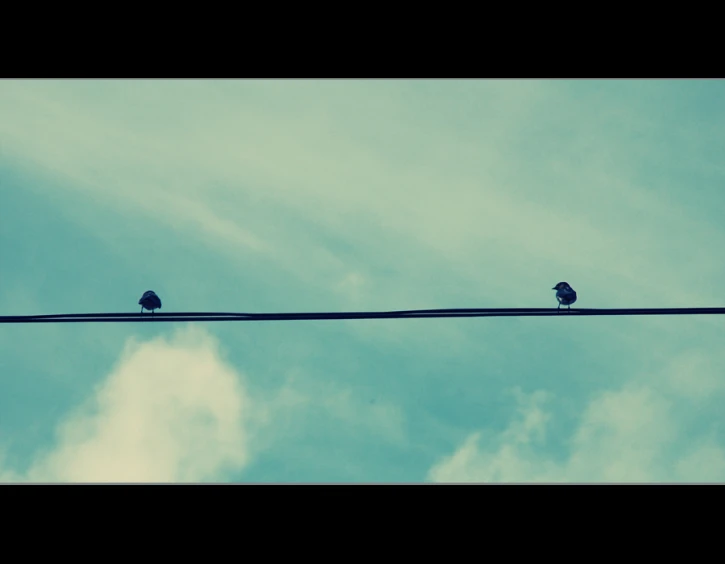 two birds sitting on the same wire in front of the sky