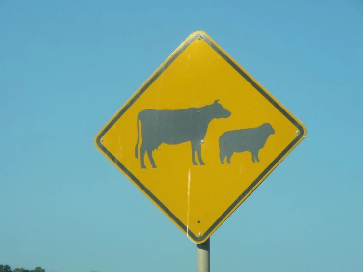 a yellow road sign with cows on it