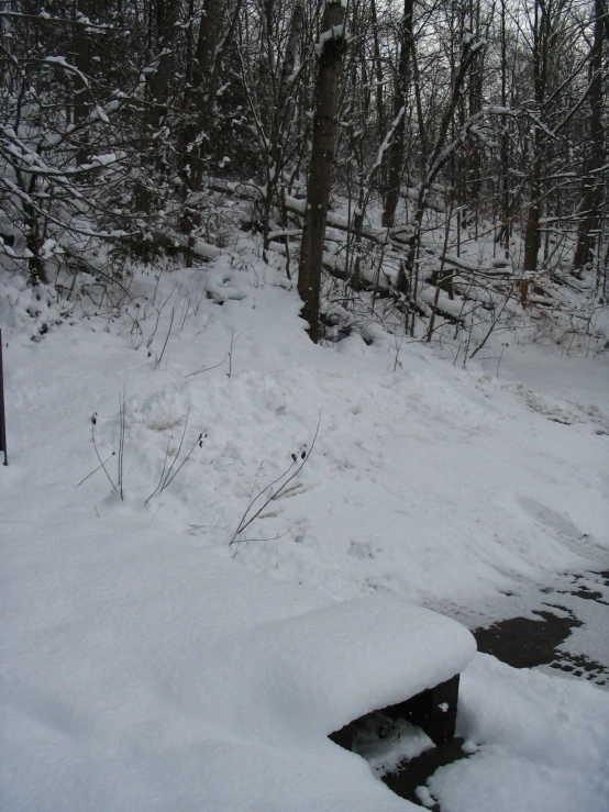 the path through the woods is covered with snow